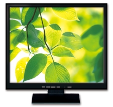Asoni N-17 LCD Monitor